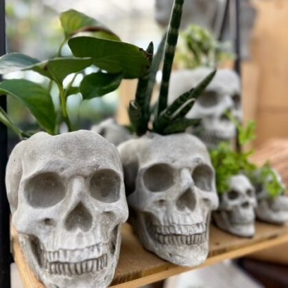 Skull Planters