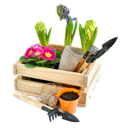 Garden Supplies