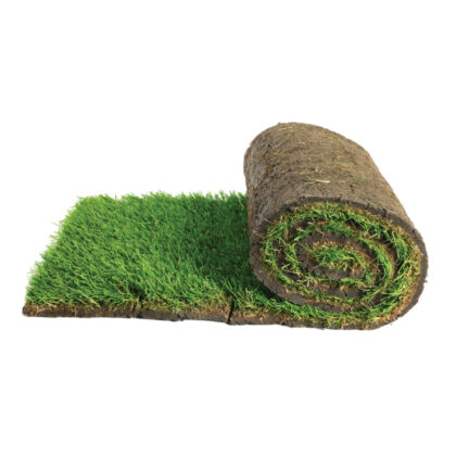 Sod Grass