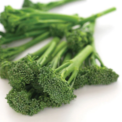 aspabroc-broccolini-seeds-BR189A