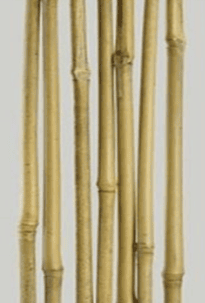 My Garden Bamboo Stakes