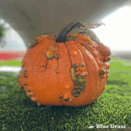 Fireball-Pumpkin
