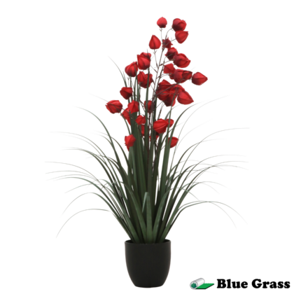 crimson-berry-grass-in-obsidian-basin