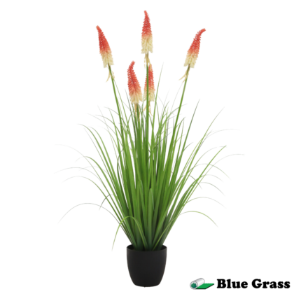 ember-spire-torch-lily-grass-in-obsidian-basin