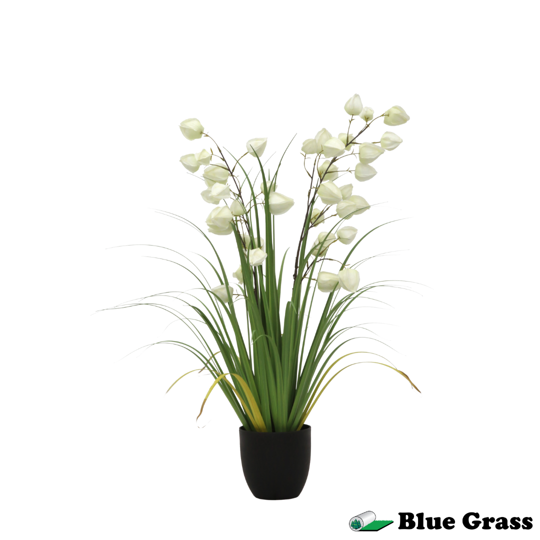 ivory-physalis-lantern-grass-in-obsidian-pot