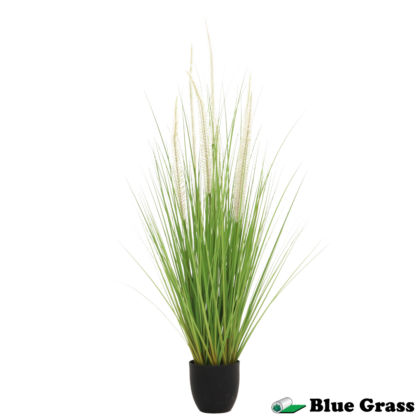 ivory-tipped-horsetail-grass-in-obsidian-basin