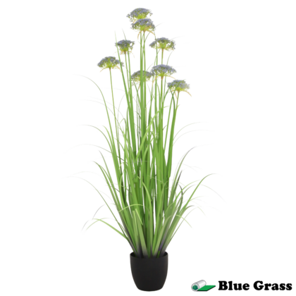meadow-bloom-angelica-grass-in-onyx-pot