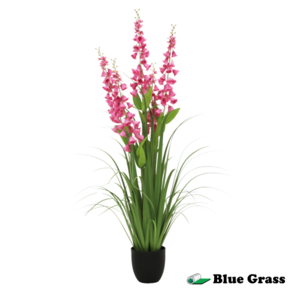 rosy-meadow-lily-of-the-valley-in-obsidian-basin