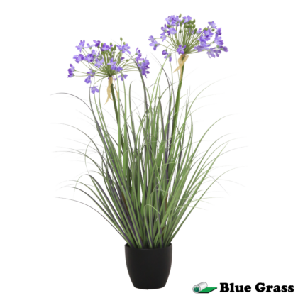 royal-azure-leek-flower-grass-in-obsidian-basin