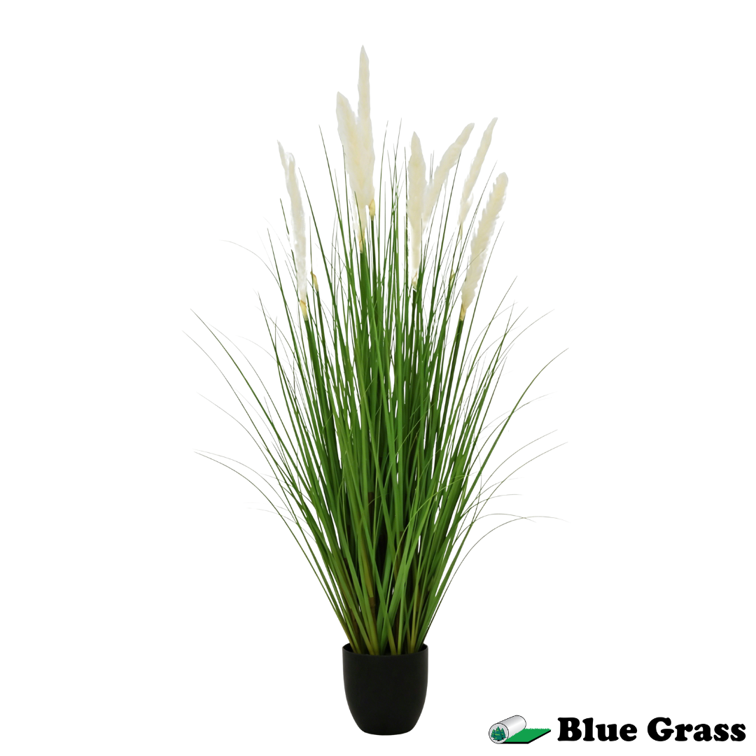 sahara-silk-dried-pampas-grass-in-obsidian-pot-(48-inch)