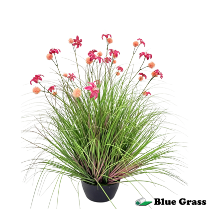 sunset-bloom-wildflower-grass-in-obsidian-basin