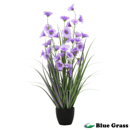 violet-mist-morning-glory-in-obsidian-pot-(36-inch)
