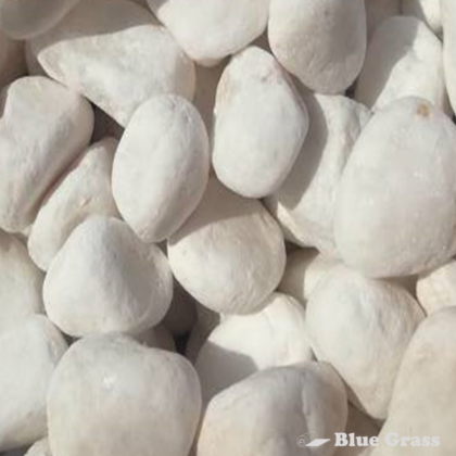 white-rock