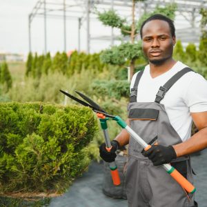 A young african american gardener cuts a tree with scissors. Gardening and tree shop concept.